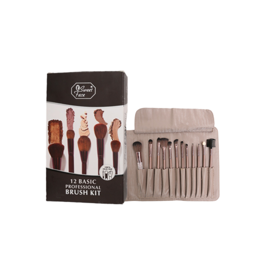 12 Basic Professional Brush Kit