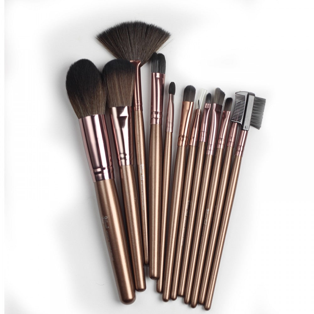 12 Basic Professional Brush Kit