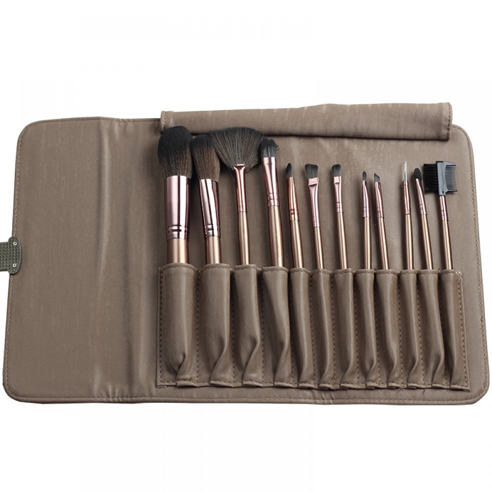 12 Basic Professional Brush Kit