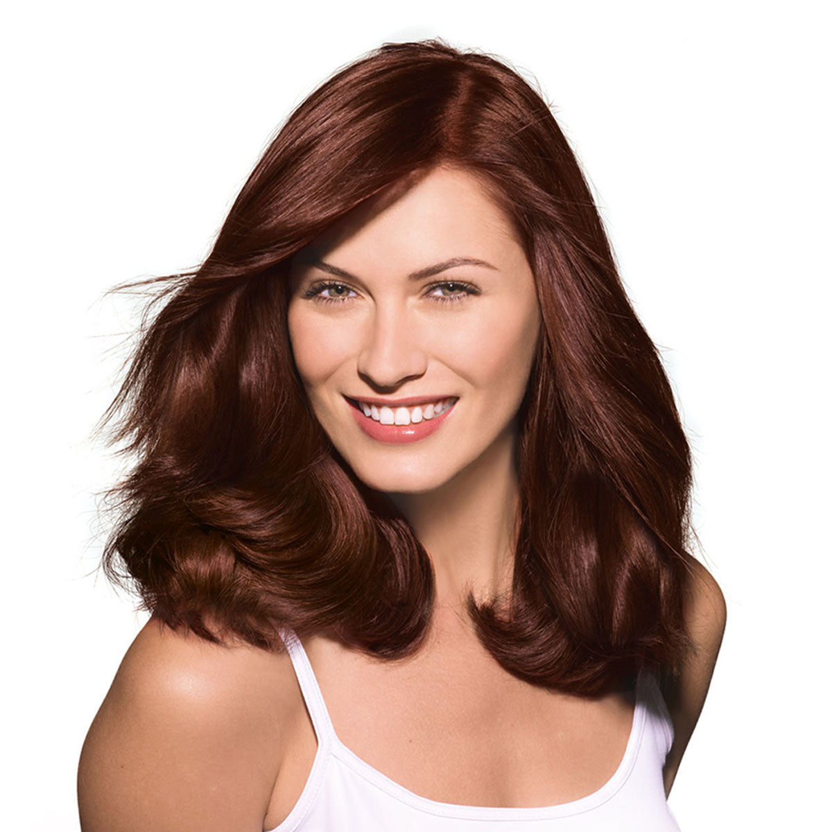 Garnier Hair Color 5.25 Cinnamon Chocolate